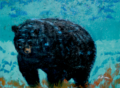 cpbear
