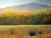 bears-taken-inside