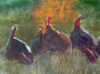 turkeys